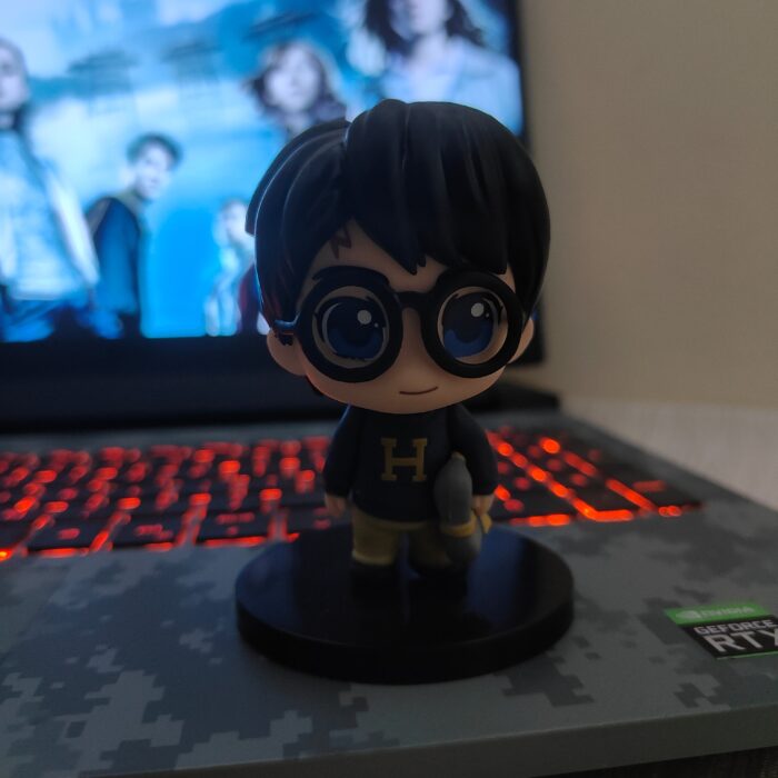 Harry Potter – The Chosen One in Cozy Charm Figure - Harry Potter