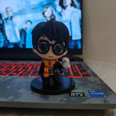 Harry Potter – The Chosen One with Hedwig Figure - Harry Potter